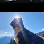 Elisabeth Wolf - Facebook