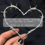 Elisandro Rodriguez - @rodriguez.elisandro - Instagram