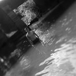 elisandro rodriguez - @18eli_rodriguez - Instagram