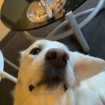 Elise Moen Aasen - @elisemoen_aasen - Instagram