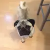 elise_ali - @elise_ali_ - TikTok