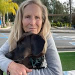 Elise Arnold - @elisearnold_goldenwest_arts - Instagram