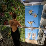 Elise Arnold - @elisernld - Instagram