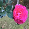 Elise_Arnold - @elise_arnold - TikTok