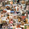 Puppy lover - @elisebeard2 - TikTok