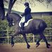 Elise Bishop - Facebook