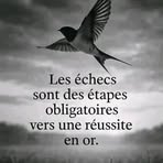 Elisé Bognon - Facebook