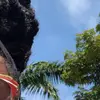 elisecobblah - @elisecobblah - TikTok