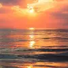 elise_crafts - @sunflower._.15 - TikTok
