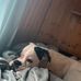 Elise Day - Facebook