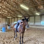 Elise Karas DeWitt - @elisedewitt1 - Instagram