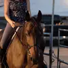 elisedoland - @elisedoland - TikTok