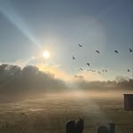 Elise Doss - @dosshorsemanship - Instagram