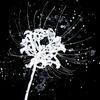 Elise Erickson - @resonant_pixels - TikTok