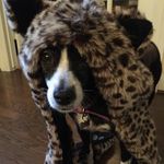Rosie - @rosie_elise_estes - Instagram