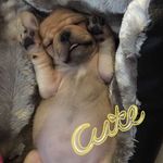 Elise Fair - @pariselise_fair - Instagram