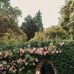 Yuleisy Faris - Facebook