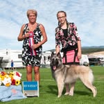 Dog Show Photos - @_elise.handling_ - Instagram