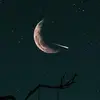 Elise_hands - @elise_hands - TikTok