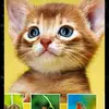 elisea1145 - @eliseahand - TikTok