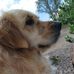 Elise Hebert - Facebook