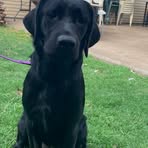 Elise Hurst - Facebook
