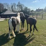 Elise Hyde - Facebook
