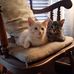 Elise Kirkpatrick - Facebook
