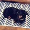user7834980821603 - @elise.knapp0 - TikTok