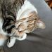Elise Laporte - Facebook