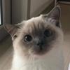 Elise Lyons261 - @eliselyons261 - TikTok