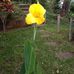Elise Malone - Facebook