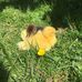 Elise Mann - Facebook
