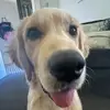 Elise Mcleod - @elise.mcleod..1 - TikTok