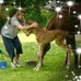 Elise Carr Patrick - Facebook