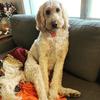 Elise Patrick705 - @elise.ks785 - TikTok