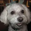 Elisabeth Pendleton - @elisabeth.pendlet - TikTok
