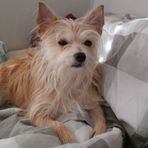 Elise Pham - Facebook