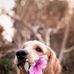 Elise Plummer - Facebook