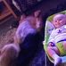 Elise Ramsden - Facebook