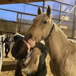 Elise Rayrolles - @elise.rayrolles12 - Instagram