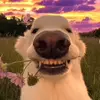 Elise.Reddit - @elise.reddit - TikTok