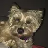 eliserich - @eliserich108 - TikTok