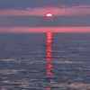 Elise!!! - @elise.rogers29 - TikTok