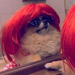 Elise Ryan - @eliseryan2003 - Instagram