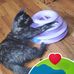 Elisa Schaffer - Facebook