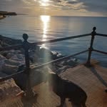 Elise Simmons - @mrs_sunlover1 - Instagram