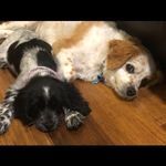 Elise Skinner - @eliseskinner4 - Instagram