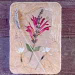 Elise Huneke-Stone - @hedgerowmontessori - Instagram