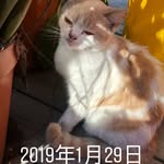Zengzefang - @elise.stronger - Instagram